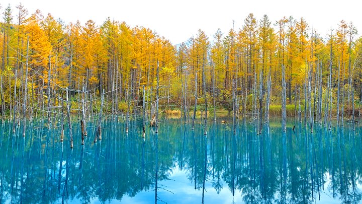 青湖 shutterstock_1251763066-