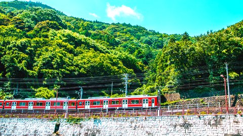 絶景を車窓から。運行再開した「箱根登山電車」でめぐる箱根観光