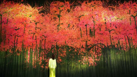 秋色に染まる、絶景のデジタルアート。東京・お台場「チームラボボーダレス」