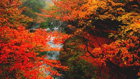 この秋に訪れたい。石川県加賀のオススメ「絶景紅葉」スポット7選