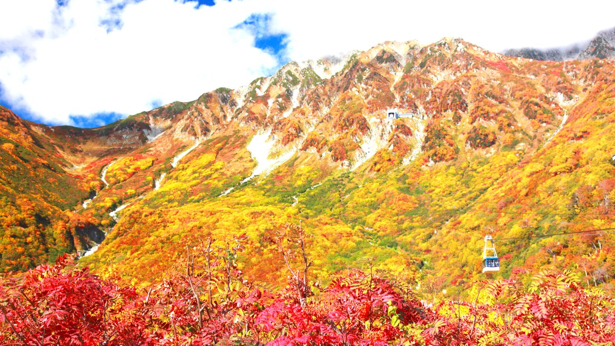 世界をも魅了した日本の絶景。富山県の「紅葉絶景」スポット4選 - TRiP EDiTOR