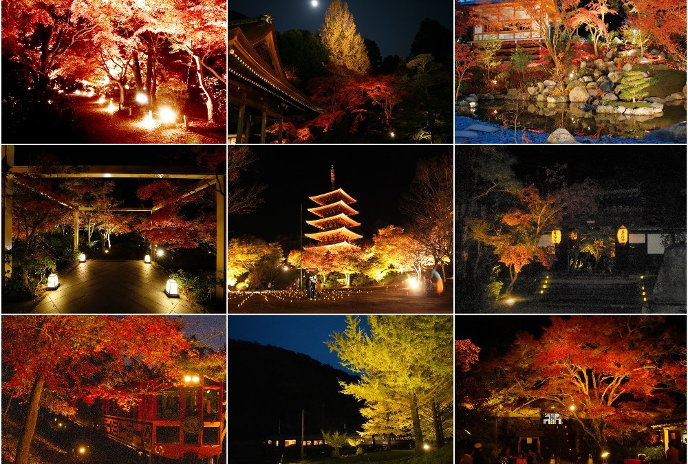 秋の夜を映し出す絶景紅葉 京都日付順 紅葉ライトアップ9選 ページ 3 3 Trip Editor