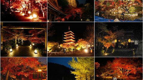 【2020】秋の夜を映し出す絶景紅葉！京都日付順・紅葉ライトアップ9選