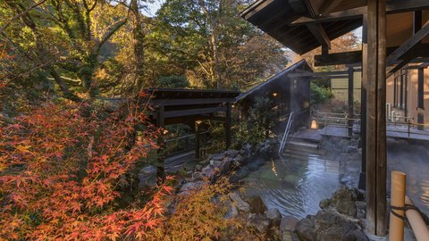 近場で秋を満喫。神奈川県・箱根で「絶景紅葉」を楽しめる人気ホテル＆温泉