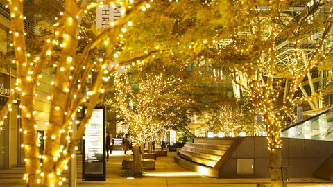 夜を照らす光のアート。絶景「東京ミッドタウン」クリスマスイベント