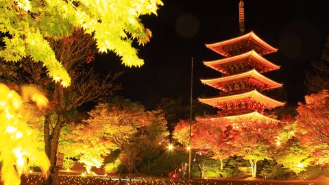 狙うは穴場。ツウだけが知っている京都の絶景「紅葉」スポット4選