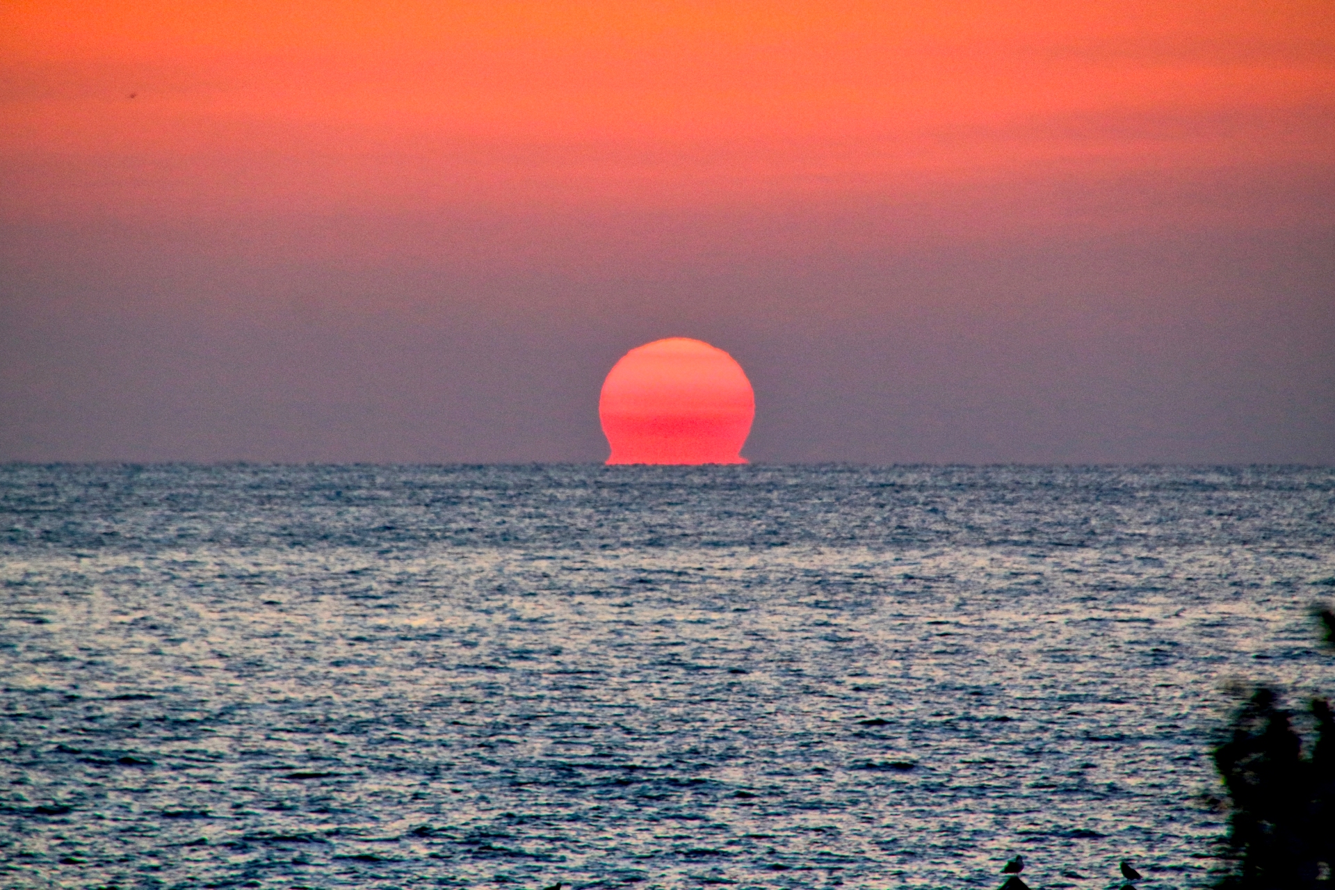 絶景の蜃気楼 秋冬の風物詩 高知県 だるま夕日 の見ごろと発生条件