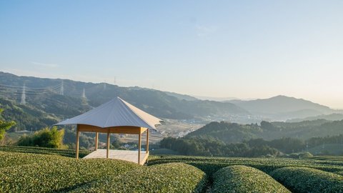 絶好ロケーションでおもてなし！和束町の新スポット「和束茶おもてなし茶室」