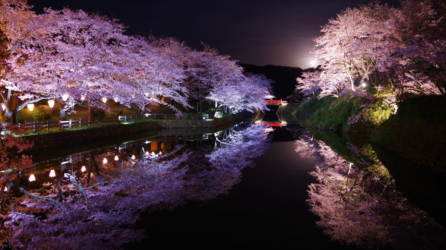 ピンク色に染まる春景色 鳥取県に咲き誇る絶景の 桜の名所 3選 Trip Editor