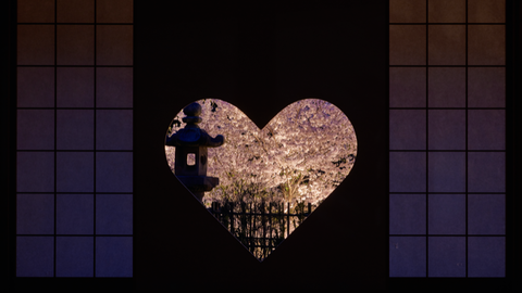 【2021】京都府の夜桜ライトアップ15選〜ロマンチックな夜花見〜