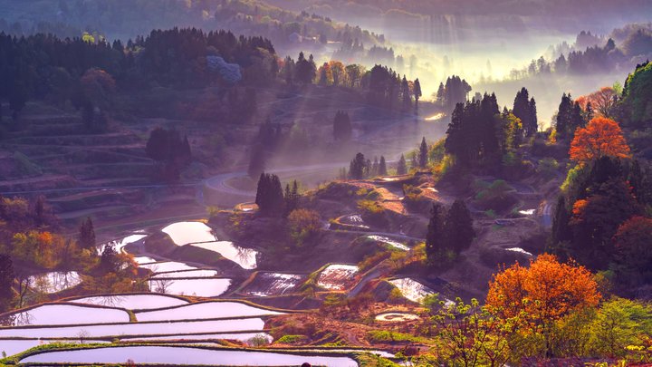 日本人の心を癒す、懐かしい絶景。郷愁漂う新潟県「星峠の棚田」の魅力
