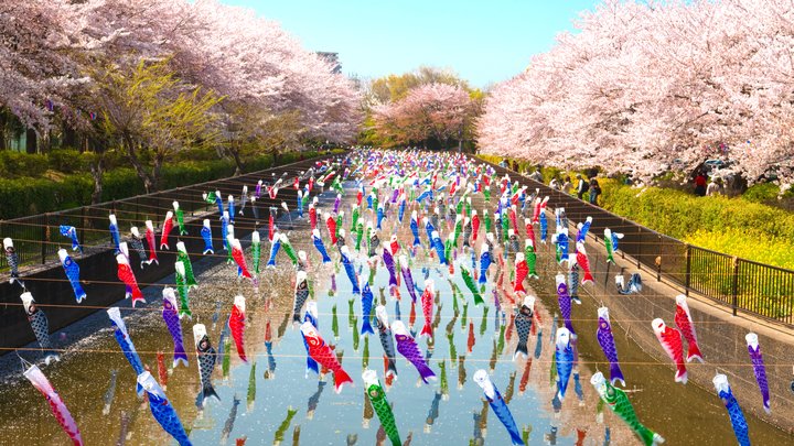 海外からも大絶賛。この春、群馬県「こいのぼりの里まつり」で絶景を
