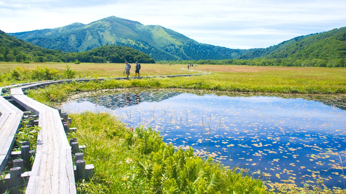 尾瀬景色写真 | 尾瀬景観写真 – XDHN