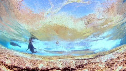【絶景】透き通った世界が広がる。水中写真家が贈る美しき「海中アート」