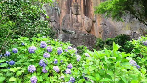 梅雨時の鮮やかな彩り。大分県で美しい「紫陽花」が楽しめる寺院3選