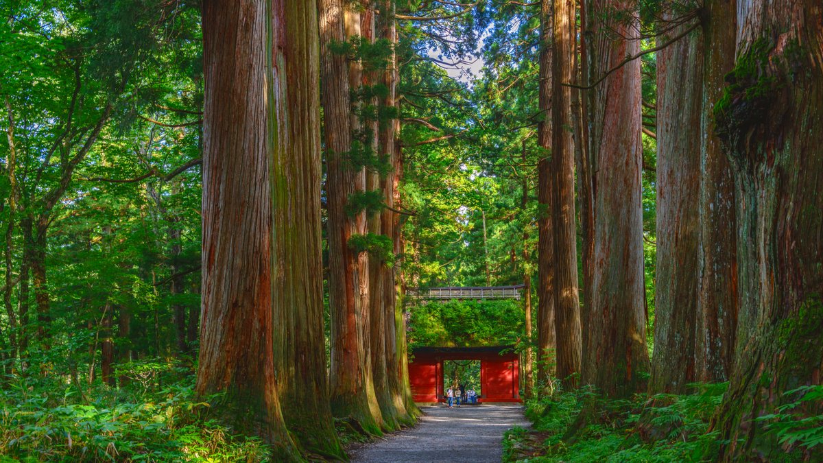 人気のパワースポットでご利益を授かる 神秘的な 戸隠神社 で五社めぐり ページ 2 2 Trip Editor