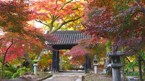 古き良き日本の原風景。美しすぎる筑前の小京都「秋月」めぐり