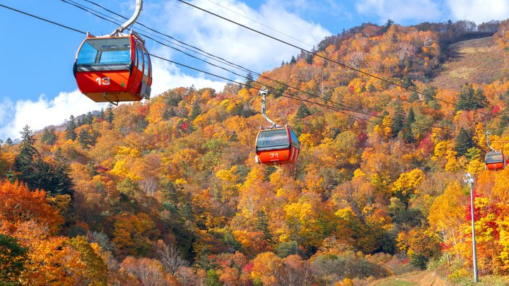 shutterstock_1840087024-