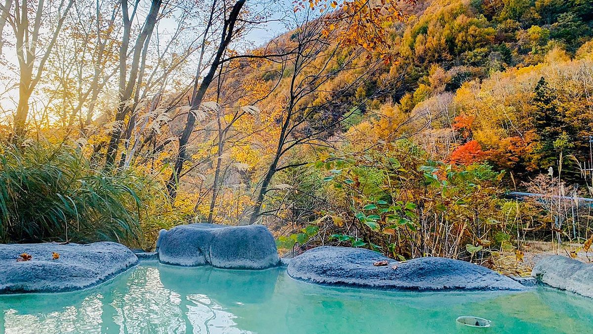 信州「七味温泉」は、高山村の大自然に囲まれた超穴場の極上温泉だった - TRiP EDiTOR