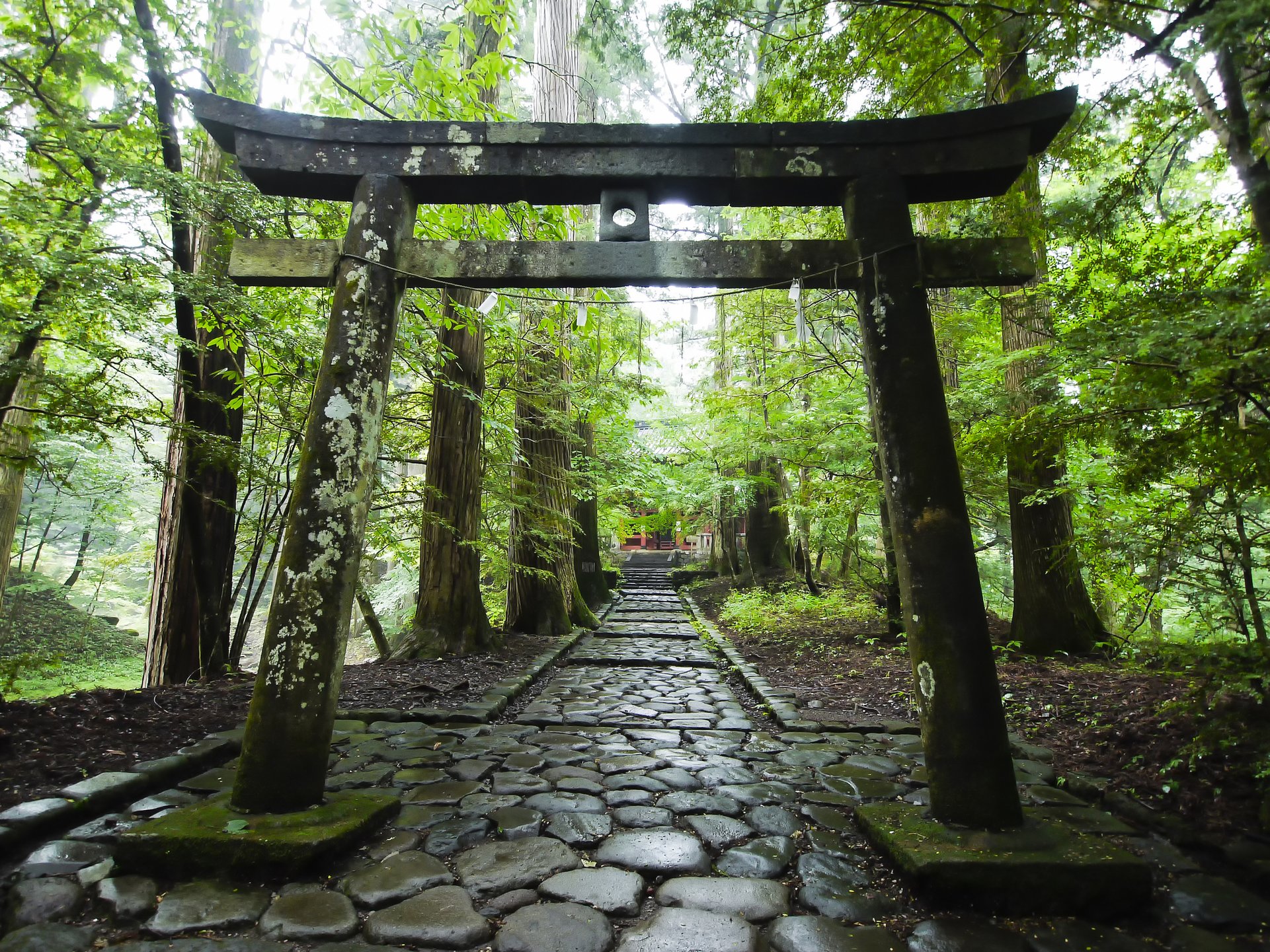 拝むだけじゃない！運試しがユニークな全国の「神社・仏閣」7選 - TRiP EDiTOR