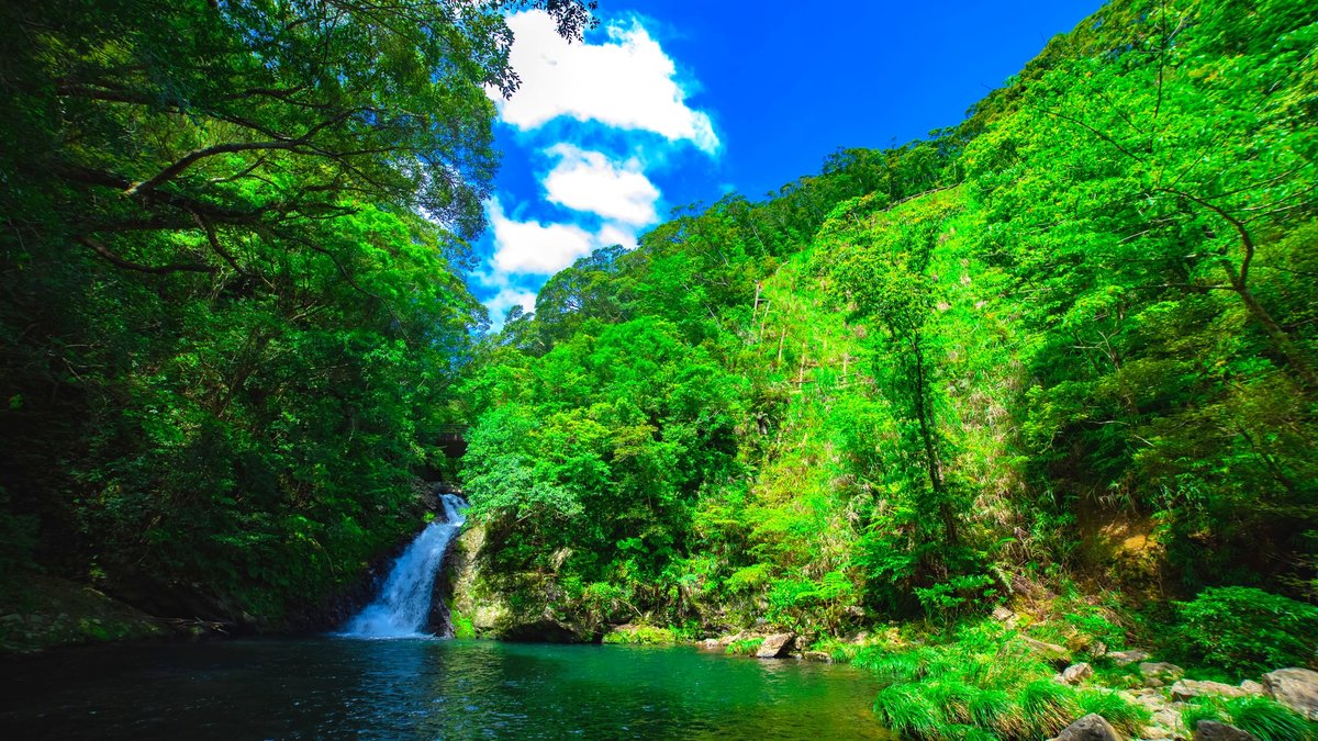 祝・世界遺産認定！美しすぎる「奄美大島、徳之島、沖縄島北部
