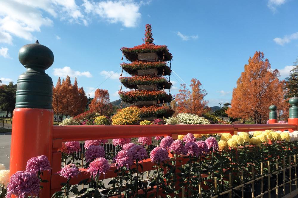 21年 秋の京都で気品に満ちた花を愛でる 菊 おすすめスポット Trip Editor