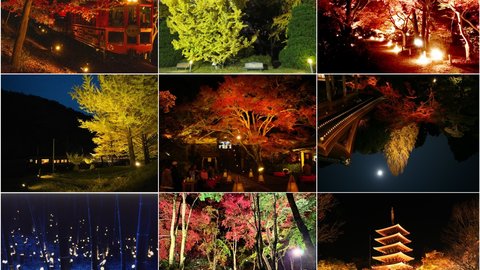 【2021】幻想的な紅葉の世界へ！京都日付順・紅葉ライトアップ11選