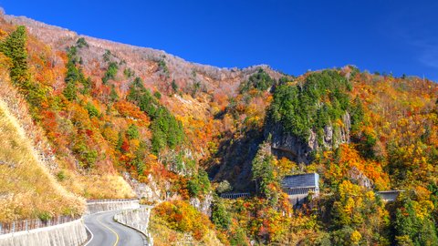 秋の絶景とともに。優雅な「加賀の國」で楽しむ紅葉＆おすすめスポット5選