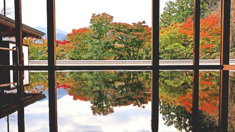 京都だけじゃない。絶景の「床もみじ」を楽しめる群馬県の「宝徳寺」