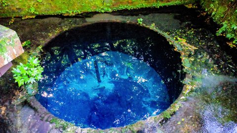 静岡県にこんな絶景が！柿田川公園の神秘的な「ブルーホール」へ