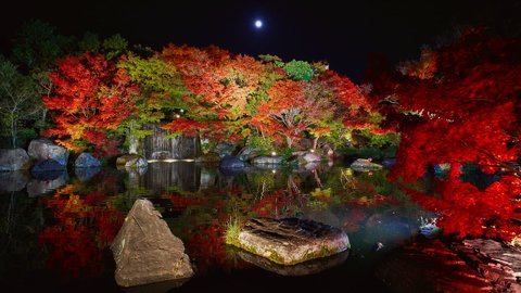 神秘的な紅葉ライトアップも。世界に誇る日本庭園「好古園」の絶景