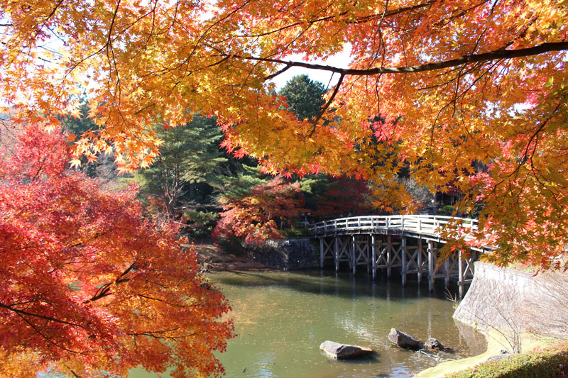 東京ドーム約10個分！絶景広がる伊豆「修善寺 虹の郷」で、環境に配慮したおでかけをしてみた - TRiP EDiTOR