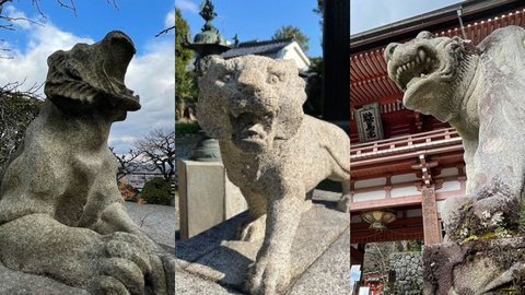 【京都の初詣】2022年は寅年！「狛虎」が鎮座するお寺で開運祈願
