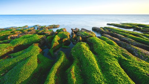 台湾で密かな人気。緑のカーペット「老梅石槽」は超レアな絶景名所