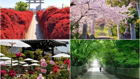 京都西山『竹の里・乙訓』青もみじ＆花盛りなスタンプラリーを開催！