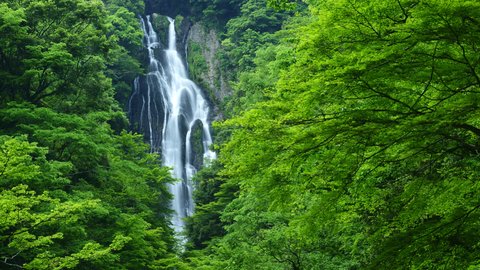 緑に囲まれた大迫力の絶景。ドライブ旅におすすめ「神庭の滝自然公園」