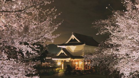 【2022】京都府の夜桜ライトアップ15選〜幽玄な春の宴への誘い〜