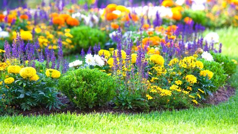 絶景が集まる花の祭典！見るだけで癒される「ガーデンフェスタ北海道2022」