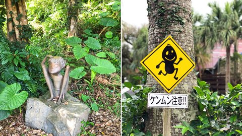 妖怪ケンムンの伝説が残る「奄美大島」で手つかずの絶景にふれる旅