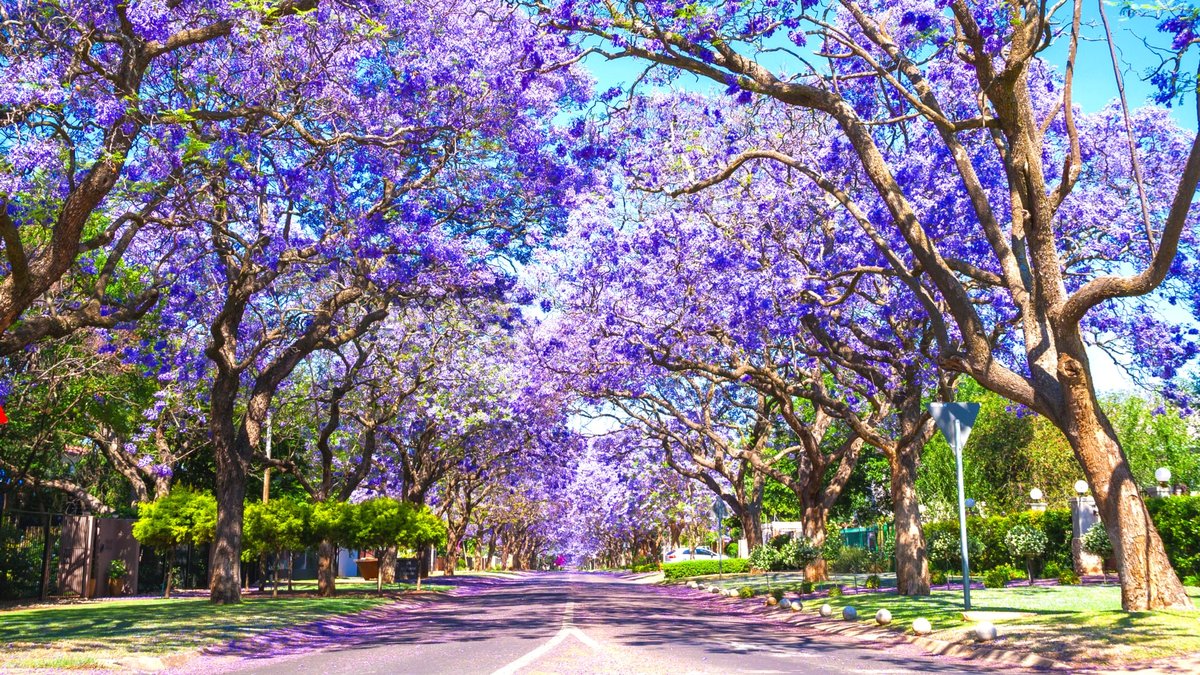 shutterstock_376168249-