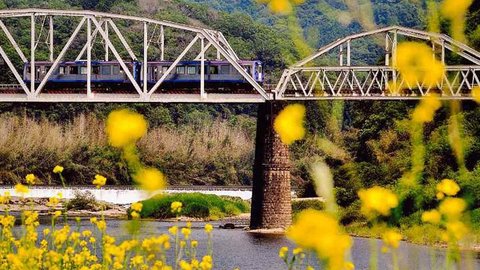 改良を重ね現代に息づく―明治時代に造られた「関西本線木津川橋梁」