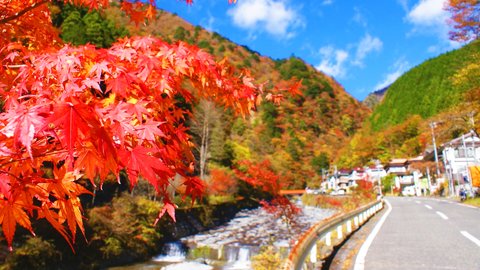 紅葉と温泉を「静岡市」で楽しむ！武田・徳川ゆかりの秘湯めぐり