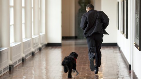 犬と走るオバマ元大統領。偉人に愛された「ファーストドッグ」大集合！