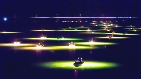 闇夜に浮かぶ幻想的な光。吉野川の歴史ある「シラスウナギ漁」の魅力