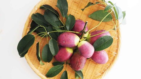 古代から食べられてきた伝説のフルーツ「ムベ」食べると不老長寿に⁉