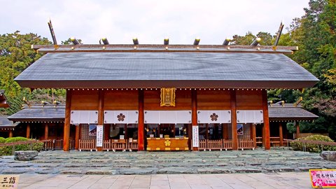 開運、金運、恋愛運も。関東で有名な「神社」にはどんなご利益がある？