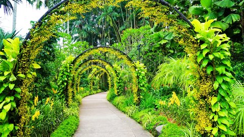 たったひとつの世界遺産「シンガポール植物園」はアジア屈指の自然の宝庫