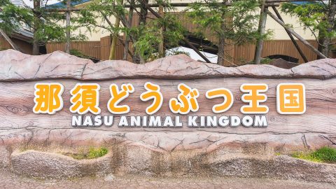 動物たちとゼロ距離体験！迫力満点パフォーマンスが魅力の「那須どうぶつ王国」