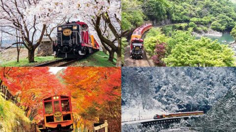五感で楽しむ旅へ！エンタメ感満載の嵯峨野トロッコ列車大解剖