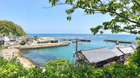 過去118年、猛暑日なし！？勝浦の名所を駆け抜けるサイクリングロード